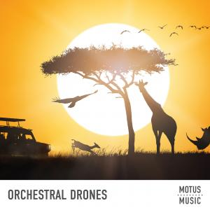 Orchestral Drones