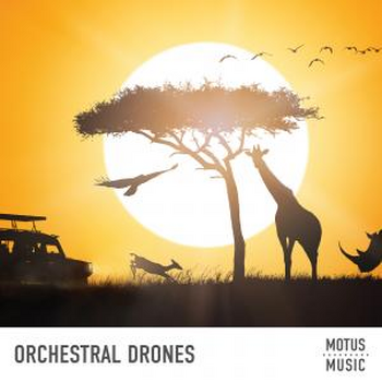 Orchestral Drones