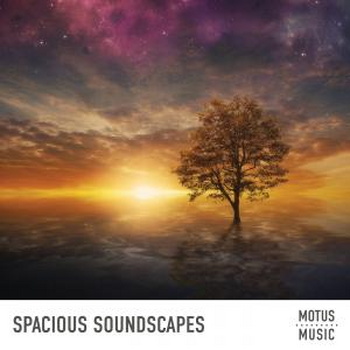 Spacious Soundscapes