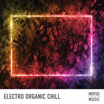 Electro Organic Chill