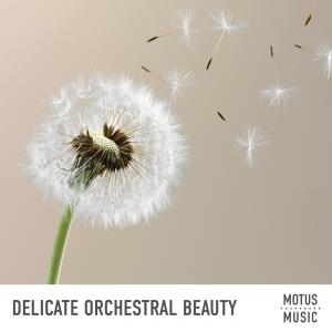 Delicate Orchestral Beauty