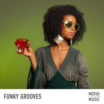 Funky Grooves