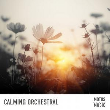 Calming Orchestral Movements
