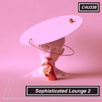 Sophisticated Lounge 2