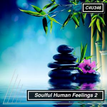 Soulful Human Feelings 2