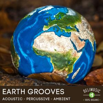 Earth Grooves