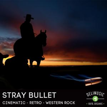 STRAY BULLET