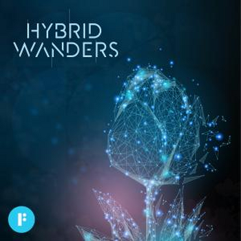 Hybrid Wanders