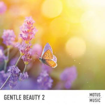 Gentle Beauty 2