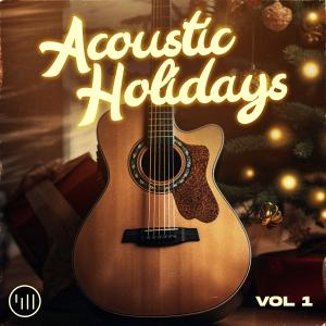 Acoustic Holidays