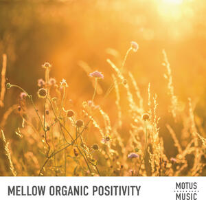 Mellow Organic Positivity