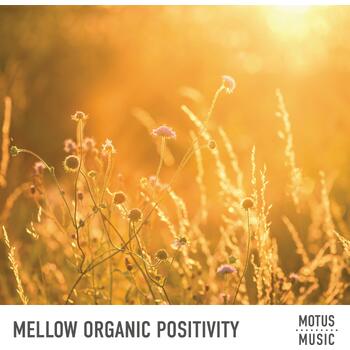 Mellow Organic Positivity
