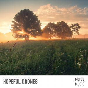 Hopeful Drones