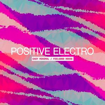 POSITIVE ELECTRO