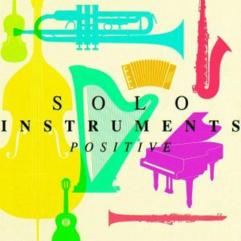 SOLO INSTRUMENTS - POSITIVE