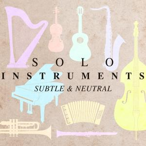 SOLO INSTRUMENTS - SUBTLE & NEUTRAL