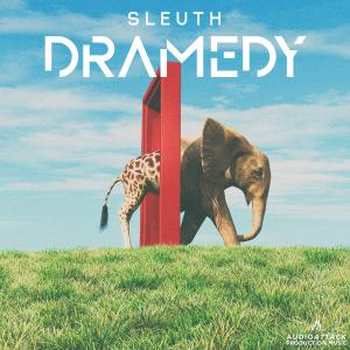 Sleuth Dramedy