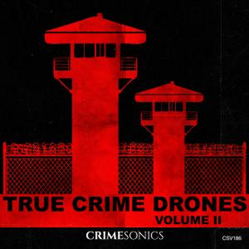 True Crime Drones II