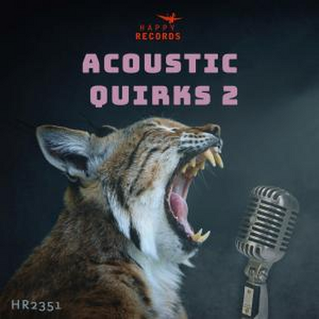 Acoustic Quirks 2