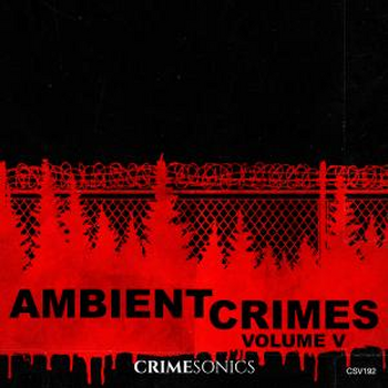 Ambient Crimes V