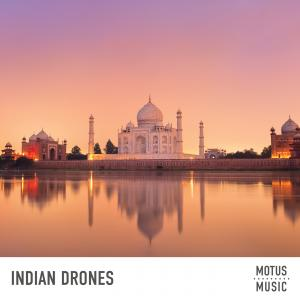 Indian Drones