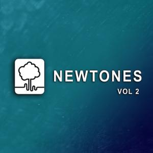 Newtones - Vol 2