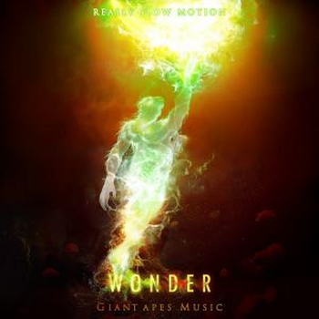 Wonder