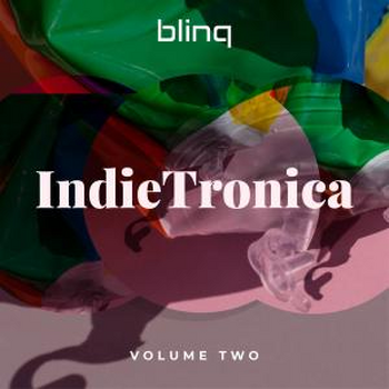 blinq 039 Indietronica vol.2
