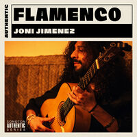 FLAMENCO GUITAR - JONI JIMENEZ