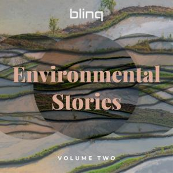 blinq 025 Environmental Stories Vol 2