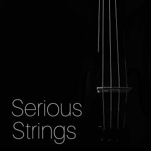 Serious Strings