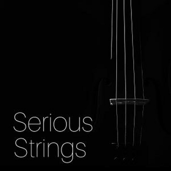 Serious Strings
