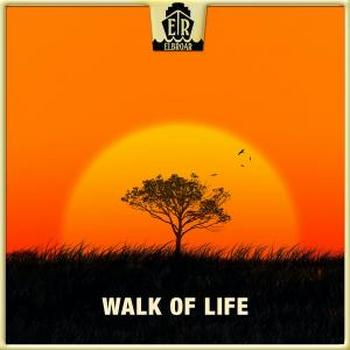 Walk Of Life