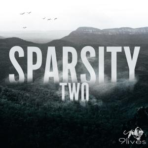 Sparsity Two
