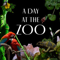 A DAY AT THE ZOO