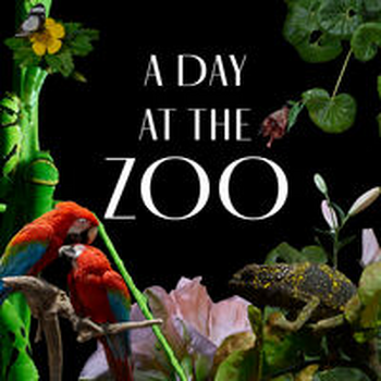 A DAY AT THE ZOO F --- Commercial length. Underscore with bass clarinet. Happy and easy acoustic Pop for a stroll through the zoo, the garden and the park; warm, slow, Ragtime piano melody. 104 bpm (Fmaj)