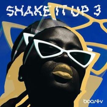 Shake It Up 3