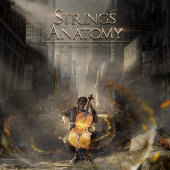 STRINGS ANATOMY