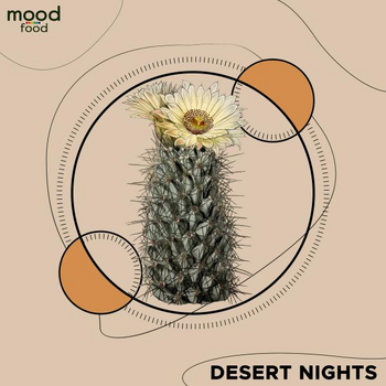 Desert Nights