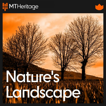  Nature's Soundscape