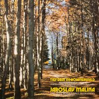 TIEF DRIN IM BOEHMERWALD Vol. 2 - Golden Bohemian Brass Vol.2