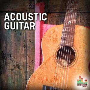 Acoustic Guitar