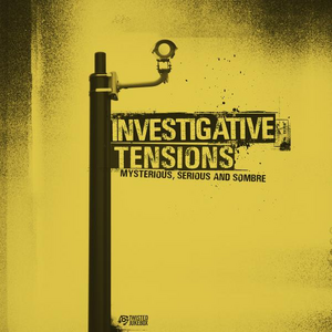  Investigative Tensions