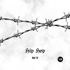 Hip Hop Vol 11