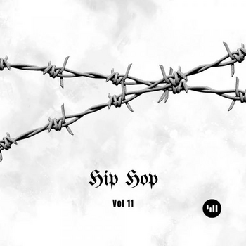 Hip Hop Vol 11