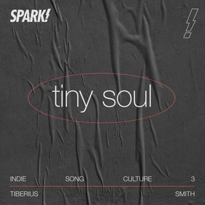 INDIE SONG CULTURE 3 - Tiberius Smith "Tiny Soul"
