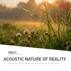 Acoustic Nature Of Reality