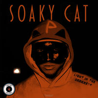 SOAKY CAT ? LIGHT IN THE DARKNESS