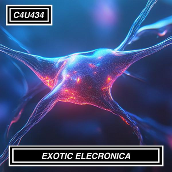 EXOCTIC ELECTRONICA