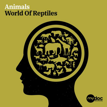 Animals - World Of Reptiles